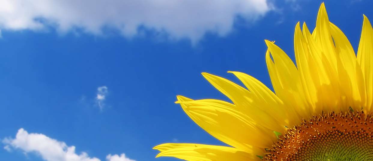 Des de 2008 al territori